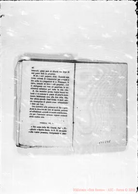 Fotogramma E 8