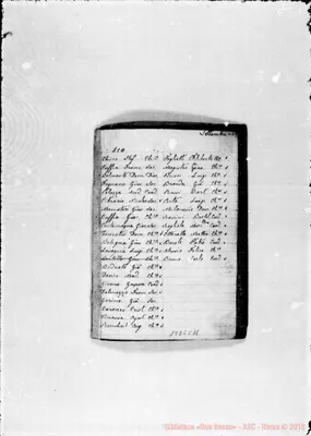 Fotogramma C 11