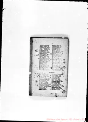 Fotogramma C 7