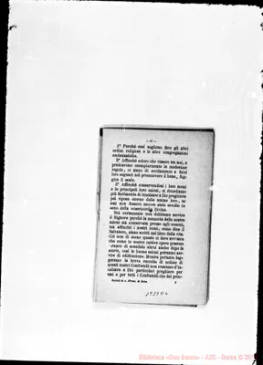 Fotogramma D 6