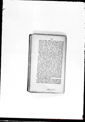 Fotogramma D 11