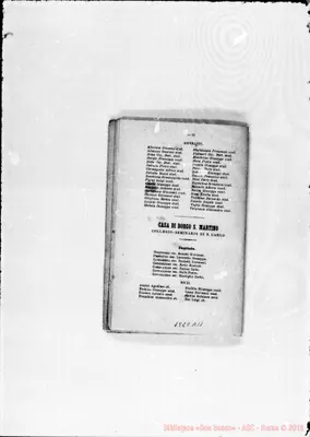 Fotogramma A 11