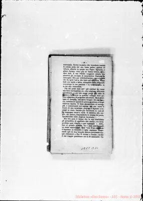 Fotogramma B 10