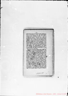 Fotogramma B 11