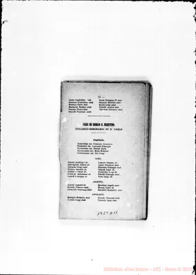 Fotogramma D 11