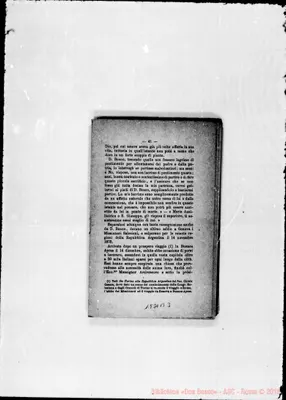 Fotogramma B 3