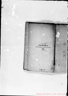 Fotogramma D 5