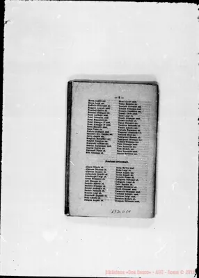Fotogramma D 10