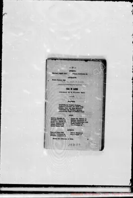 Fotogramma E 9