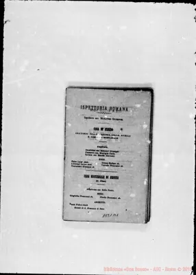 Fotogramma B 1