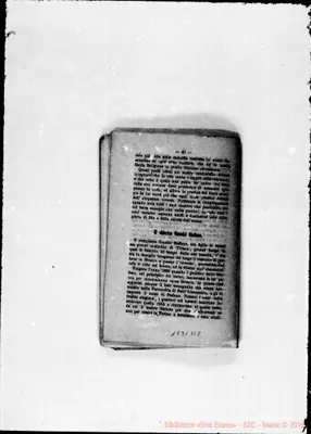 Fotogramma B 8
