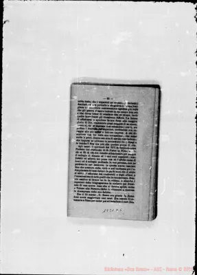 Fotogramma D 5