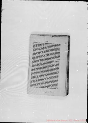 Fotogramma E 1
