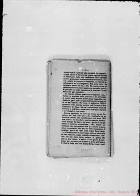 Fotogramma E 2