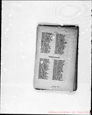 Fotogramma B 5