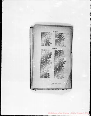 Fotogramma B 8