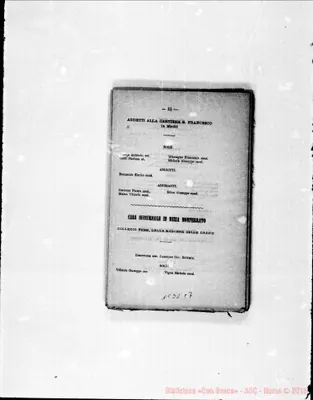 Fotogramma C 7
