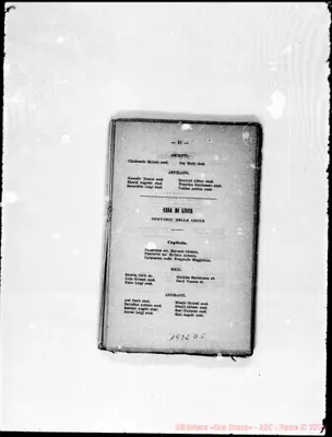Fotogramma D 5