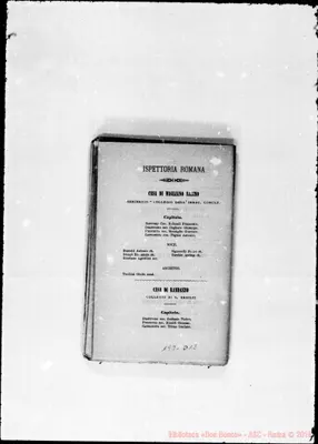 Fotogramma D 12
