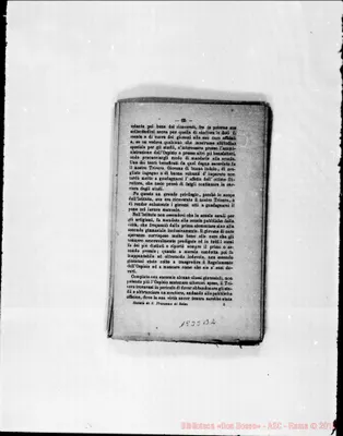 Fotogramma B 2