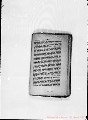 Fotogramma C 6