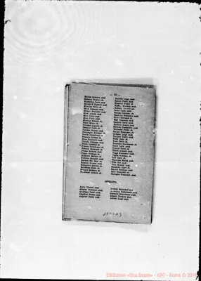 Fotogramma D 9