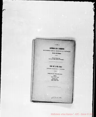 Fotogramma D 12