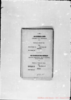 Fotogramma B 8