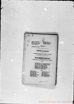 Fotogramma C 10