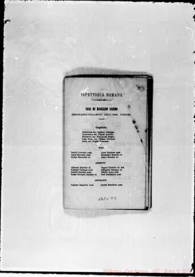 Fotogramma D 3
