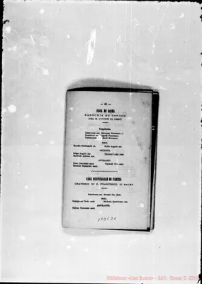 Fotogramma D 5