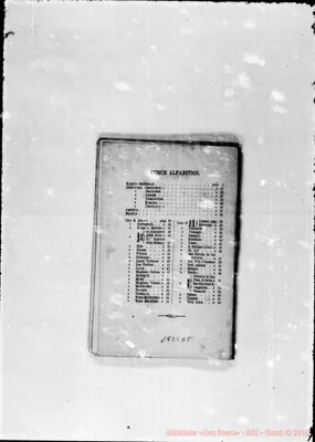 Fotogramma D 8
