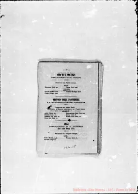 Fotogramma B 8