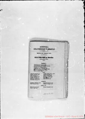 Fotogramma B 12