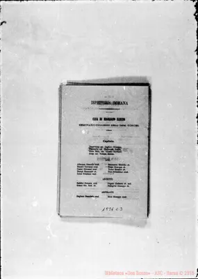 Fotogramma C 3