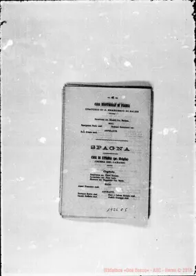 Fotogramma C 5