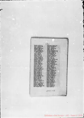 Fotogramma C 11