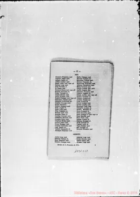 Fotogramma D 11
