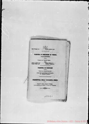 Fotogramma B 1