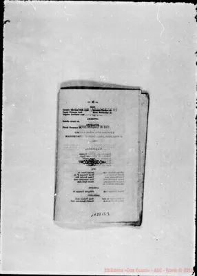 Fotogramma B 3
