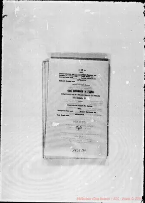 Fotogramma B 6