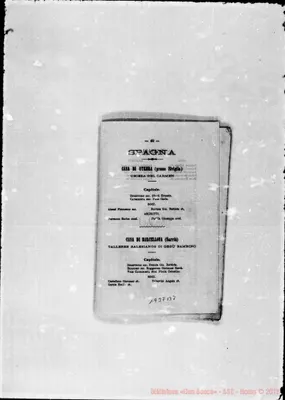 Fotogramma B 7