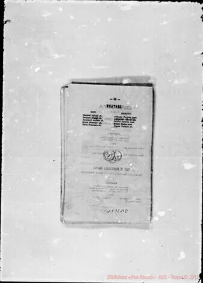 Fotogramma B 8
