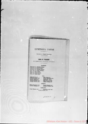 Fotogramma D 11