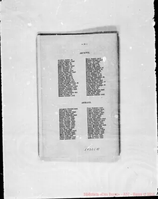 Fotogramma C 11