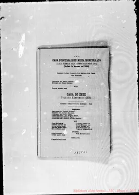 Fotogramma D 5