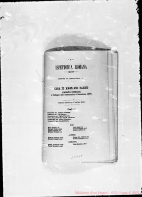 Fotogramma E 8