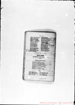 Fotogramma D 7