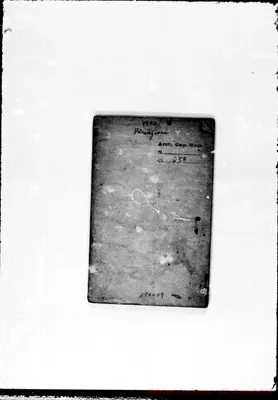 Fotogramma D 9