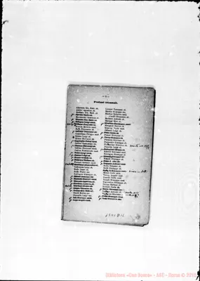 Fotogramma D 12